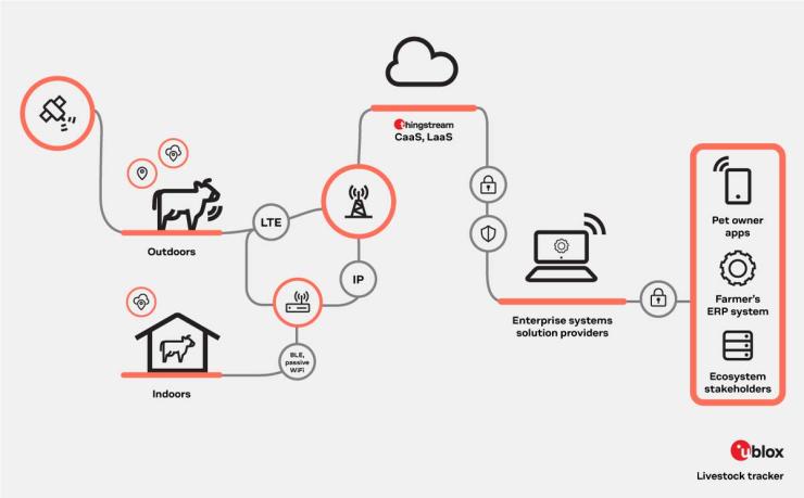 solution-architecture-livestock-monitoring.jpg infographics presenting solution architecture for livestock monitoring