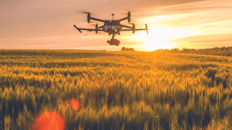 drone flying above a wheat field drone flying above a wheat field