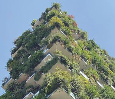 image of green apartments