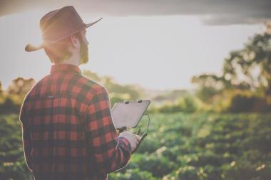 man in the filed operating drone or agricultural machine 