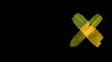 X20 workshop landing page